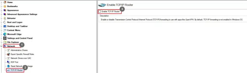 Winaero Tweaker TCP IP Router